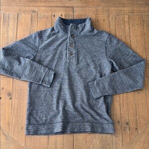 Marine layer Blue textured quarter button Pullover